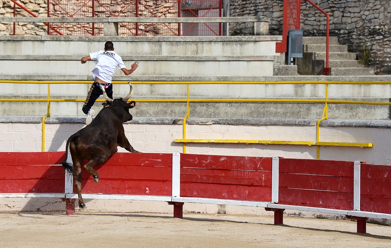 Davis