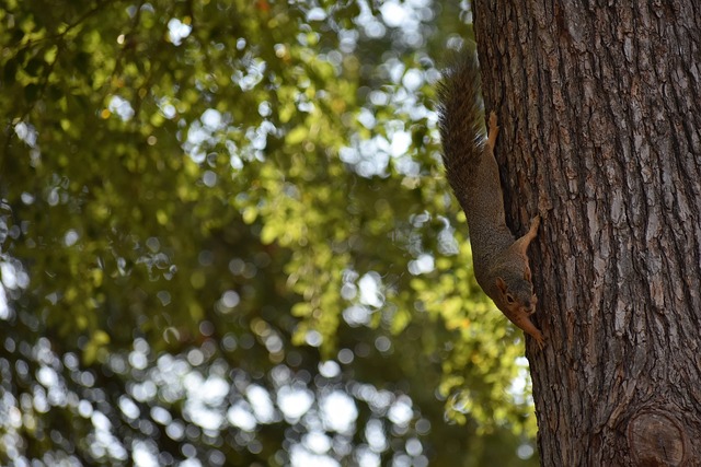 生涯的一次 生涯的一次