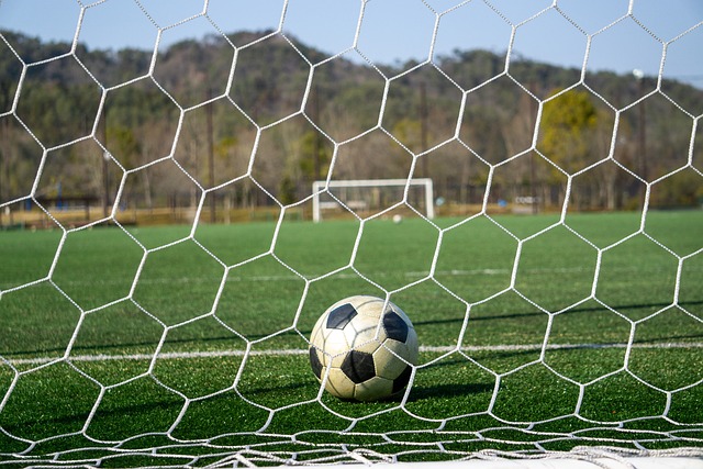 定了極具看 定了極具看