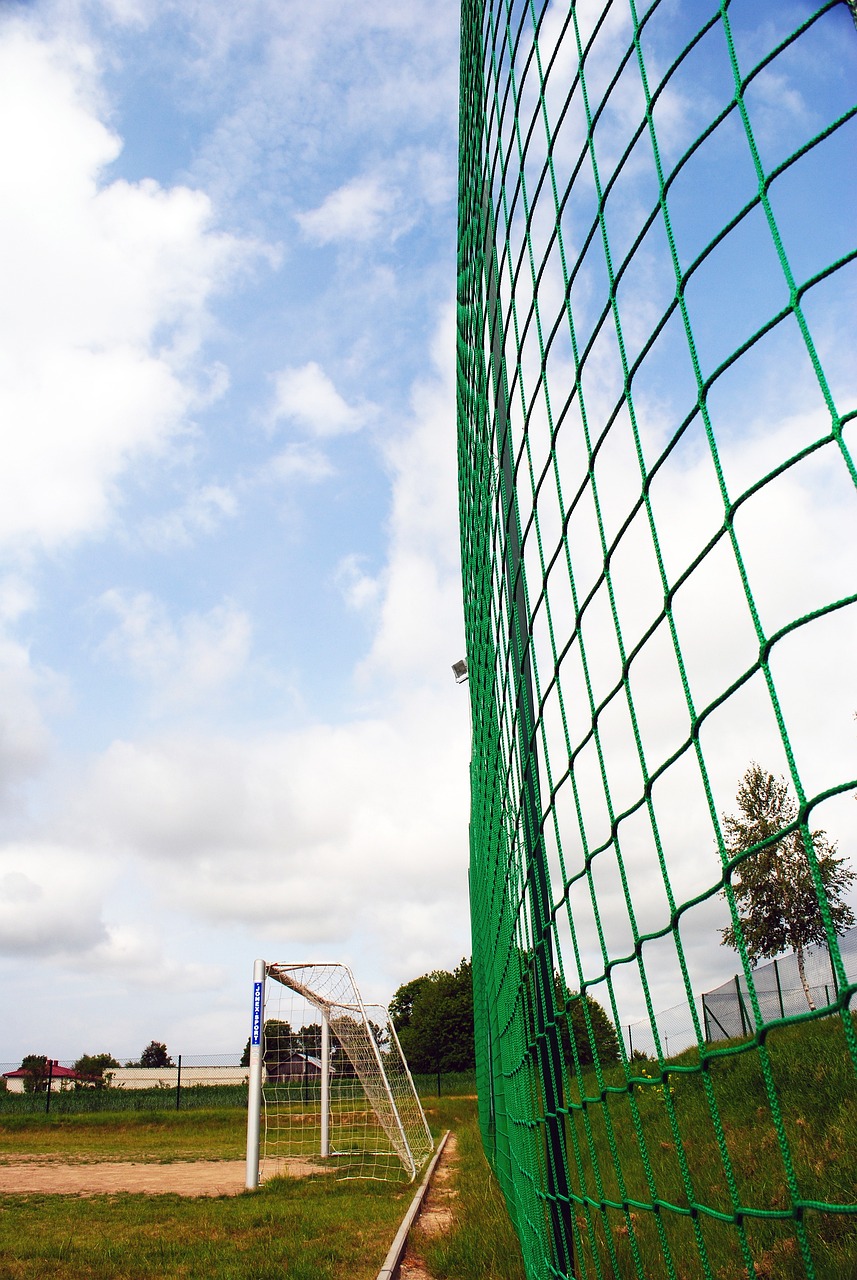 在他领衔的 在他领衔的