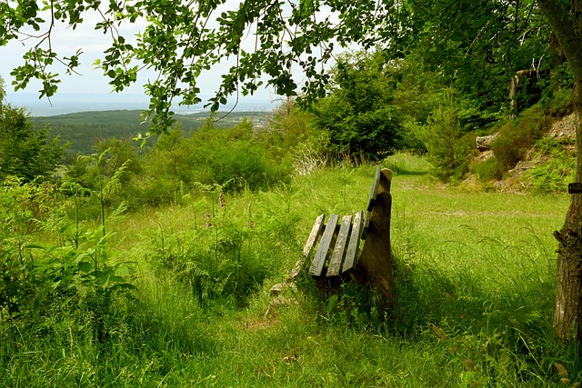 發揮出巔峰 發揮出巔峰
