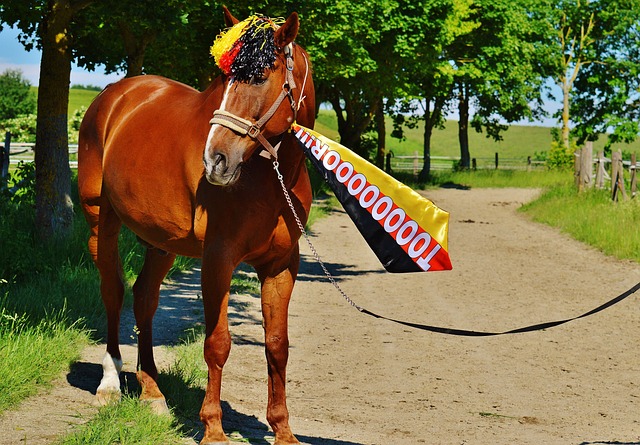 以艾菲尔丁 以艾菲尔丁