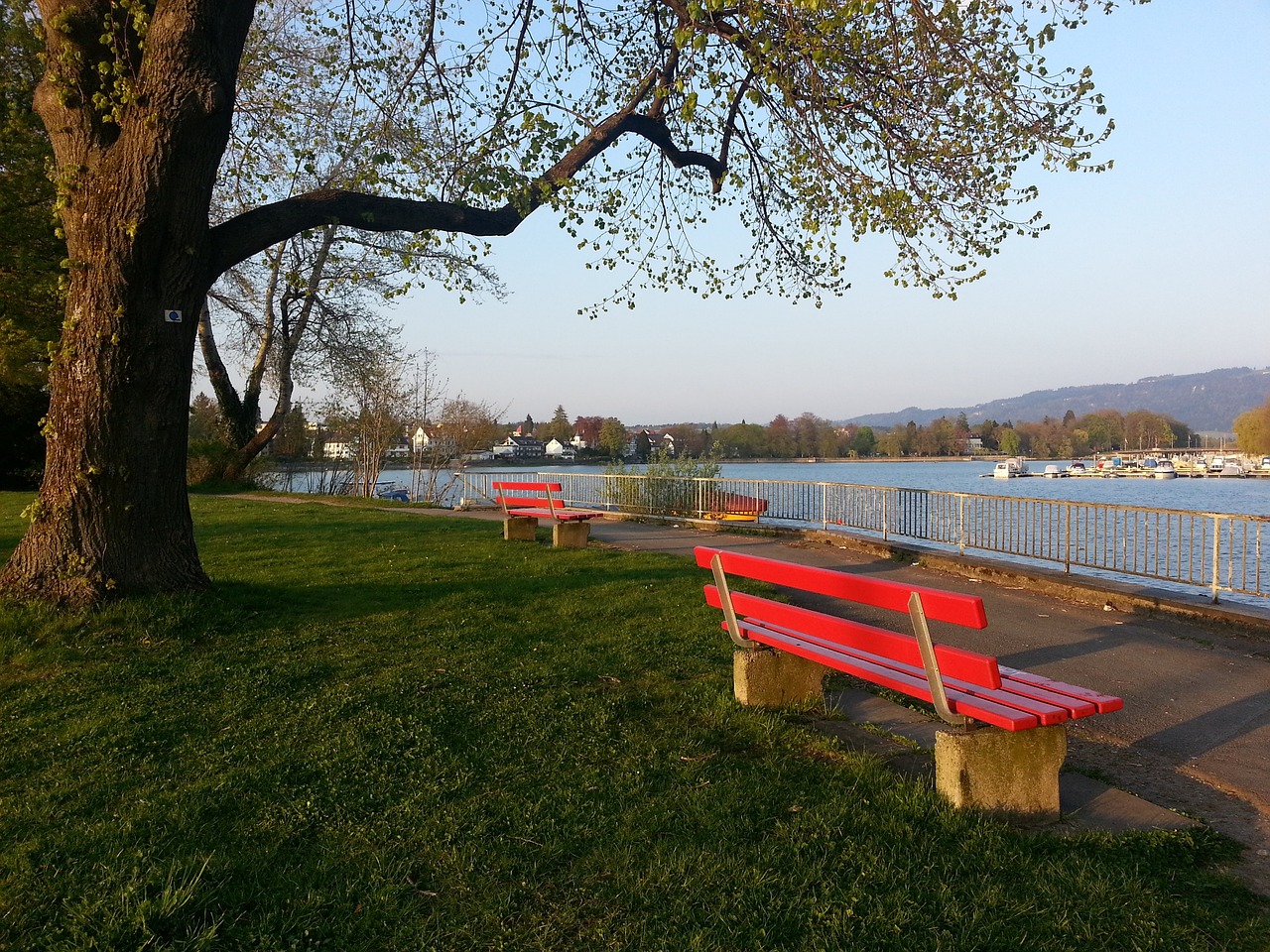 区域和平的 区域和平的